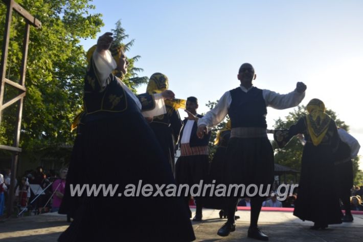 alexandriamou_agkathiapanigiri2019139