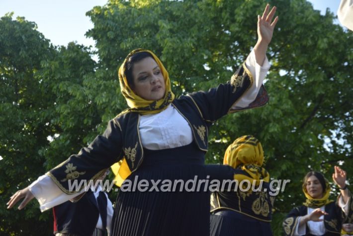 alexandriamou_agkathiapanigiri2019148