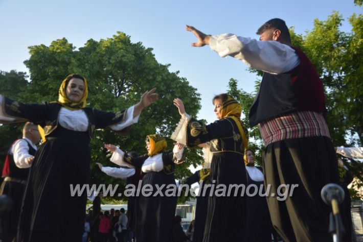 alexandriamou_agkathiapanigiri2019151