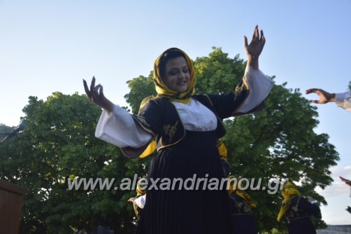 alexandriamou_agkathiapanigiri2019153