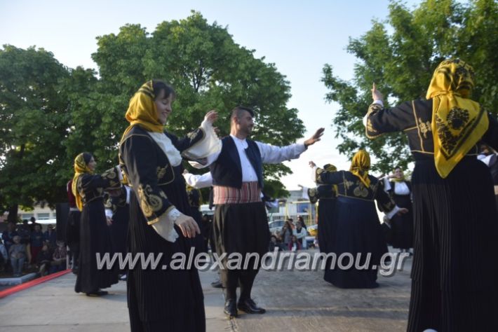 alexandriamou_agkathiapanigiri2019155