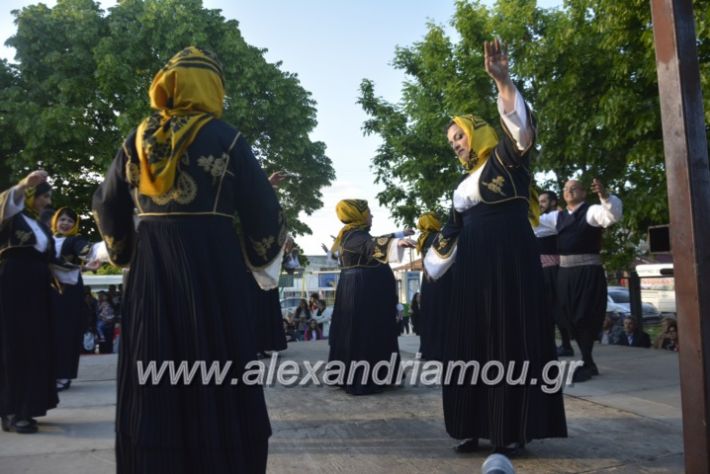 alexandriamou_agkathiapanigiri2019157