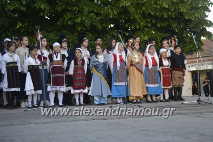 alexandriamou_agkathiapanigiri2019194