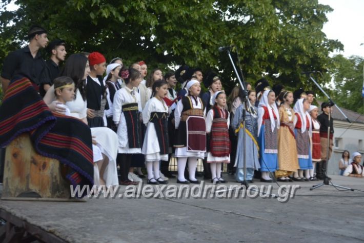 alexandriamou_agkathiapanigiri2019200