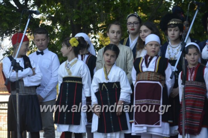 alexandriamou_agkathiapanigiri2019205