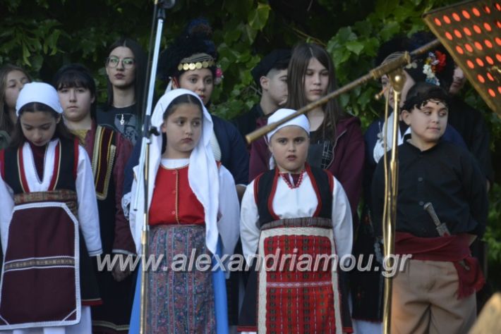 alexandriamou_agkathiapanigiri2019207