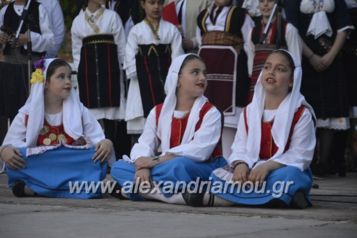 alexandriamou_agkathiapanigiri2019216