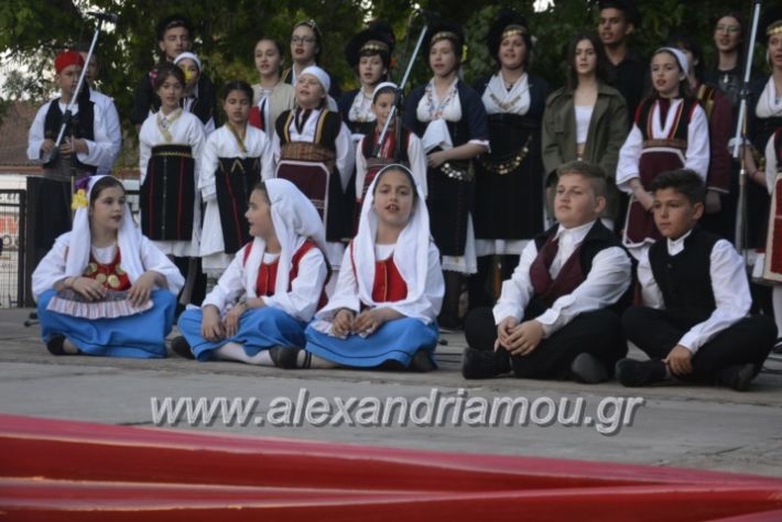 alexandriamou_agkathiapanigiri2019218