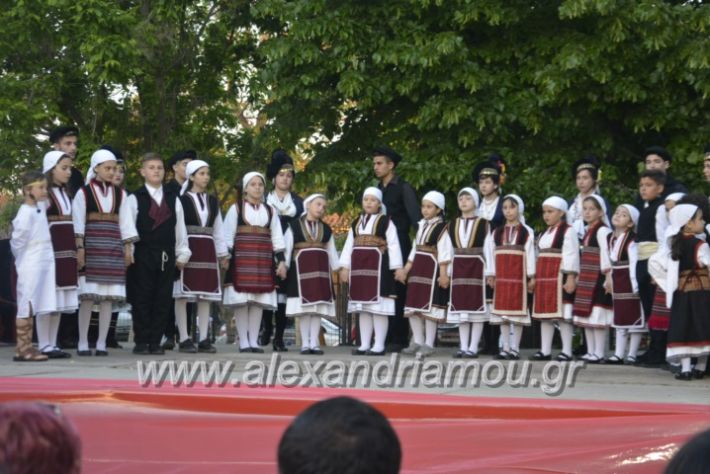 alexandriamou_agkathiapanigiri2019222