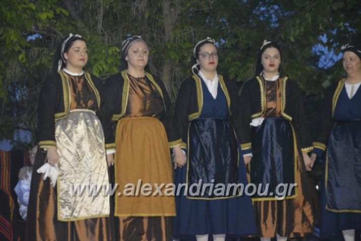 alexandriamou_agkathiapanigiri2019260