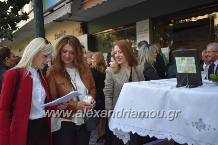 alexandriamou_pantazopouolosegkainia7.4.2019200