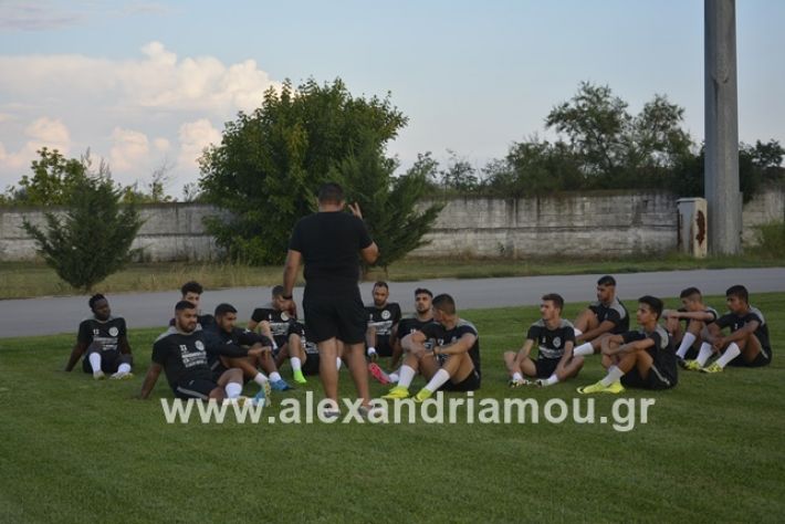 alexandriamou.gr_paok12019alexandriamou.gr_paok1_DSC1266