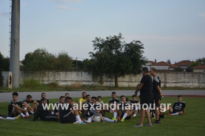 alexandriamou.gr_paok12019alexandriamou.gr_paok1_DSC1268