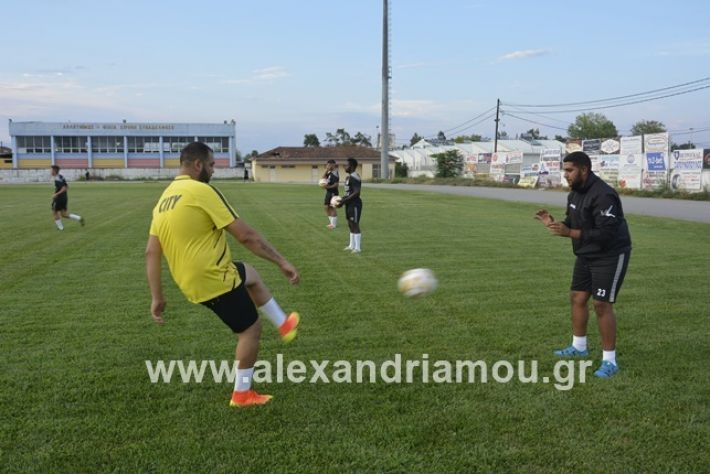 alexandriamou.gr_paok12019alexandriamou.gr_paok1_DSC1276