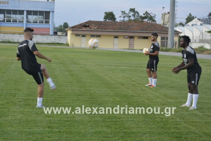 alexandriamou.gr_paok12019alexandriamou.gr_paok1_DSC1277