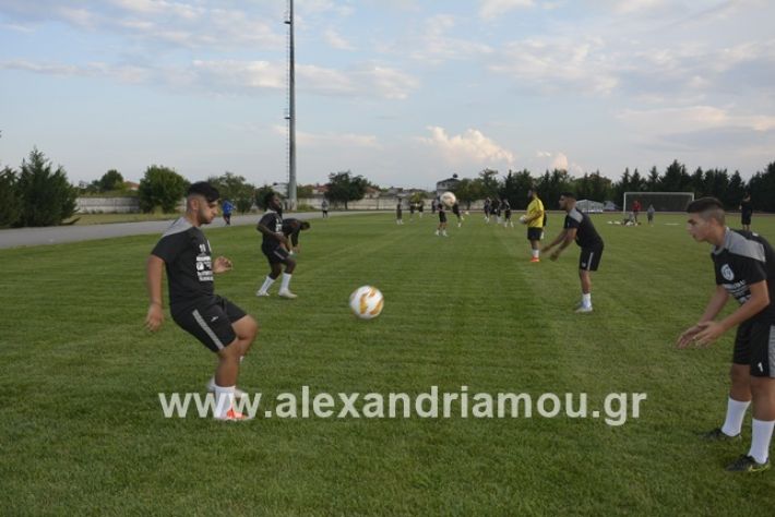 alexandriamou.gr_paok12019alexandriamou.gr_paok1_DSC1278