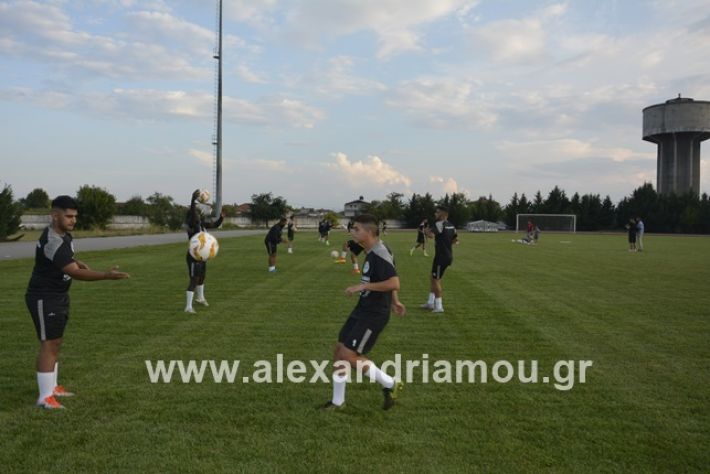 alexandriamou.gr_paok12019alexandriamou.gr_paok1_DSC1279