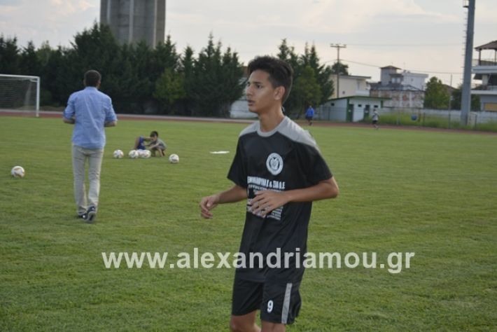 alexandriamou.gr_paok12019alexandriamou.gr_paok1_DSC1282