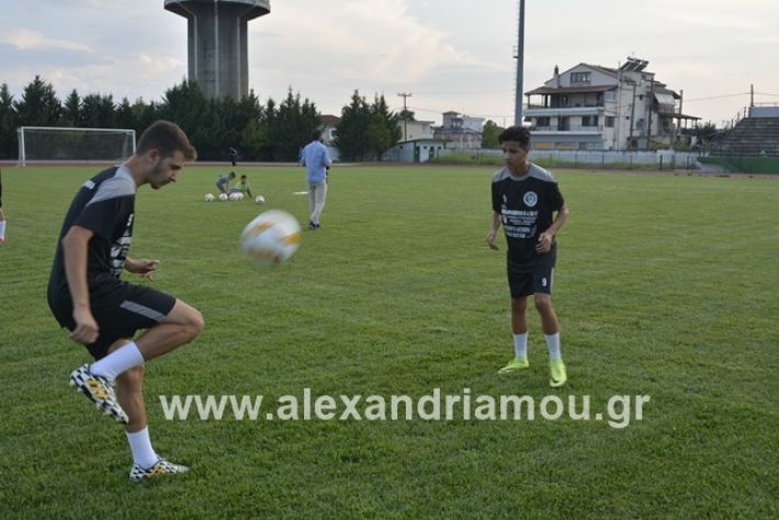 alexandriamou.gr_paok12019alexandriamou.gr_paok1_DSC1283