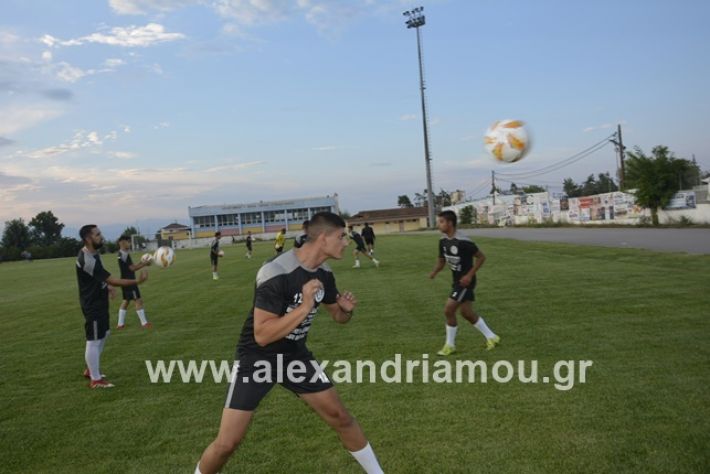 alexandriamou.gr_paok12019alexandriamou.gr_paok1_DSC1290