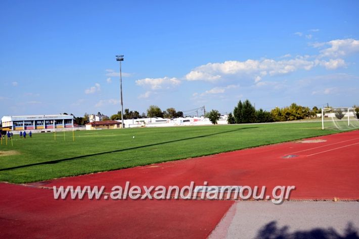 alexandriamou.gr_paokalexandriasDSC_0253