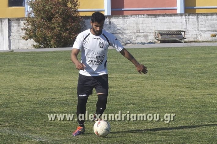 alexandriamou_paok_ag.georgios028