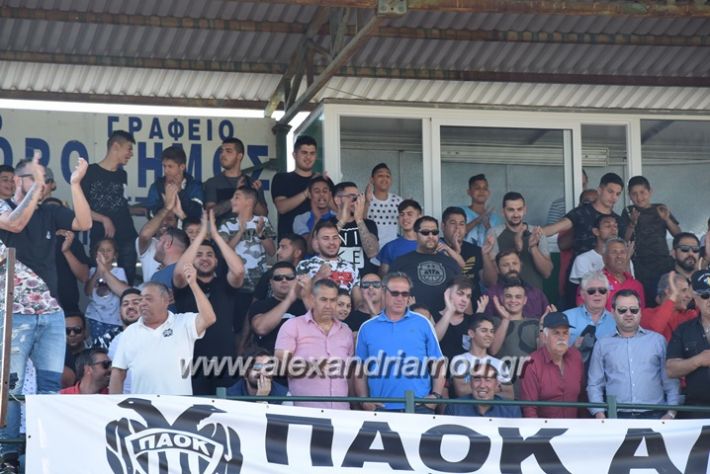 alexandriamou.gr_paokagkathia28108