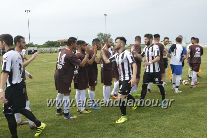 alexandriamou.gr_paokniki23015