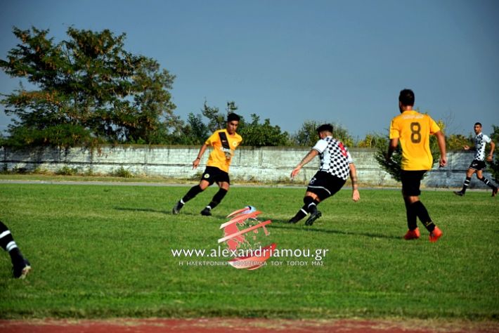 alexandriamou.gr_paokkopanos7.9.2019DSC_0003