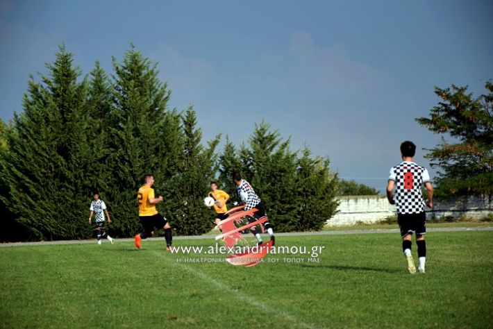 alexandriamou.gr_paokkopanos7.9.2019DSC_0010