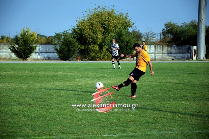 alexandriamou.gr_paokkopanos7.9.2019DSC_0036