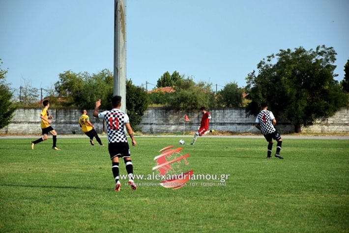 alexandriamou.gr_paokkopanos7.9.2019DSC_0843