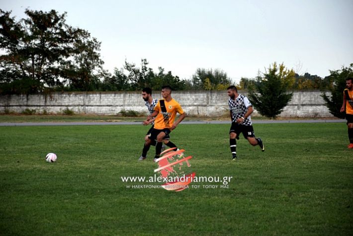 alexandriamou.gr_paokkopanos7.9.2019DSC_0947