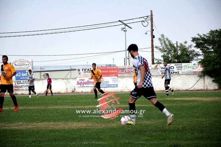 alexandriamou.gr_paokkopanos7.9.2019DSC_0984