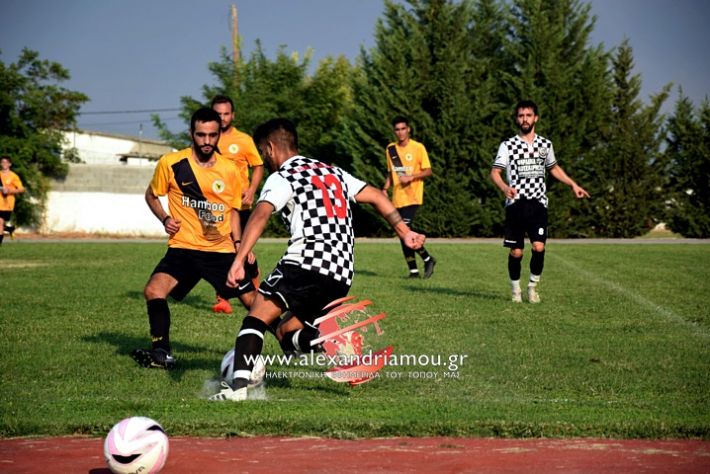 alexandriamou.gr_paokkopanos7.9.2019DSC_1005