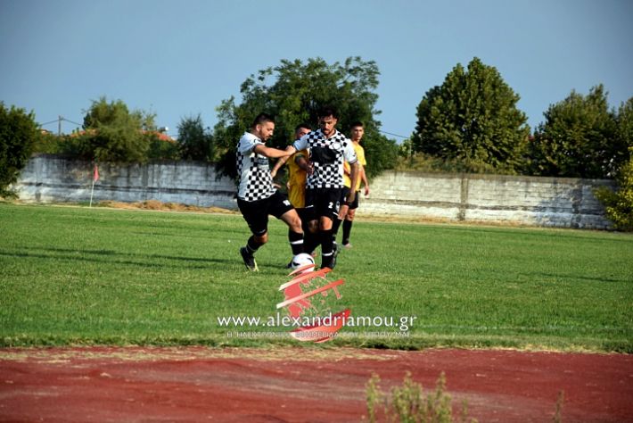 alexandriamou.gr_paokkopanos7.9.2019DSC_1007