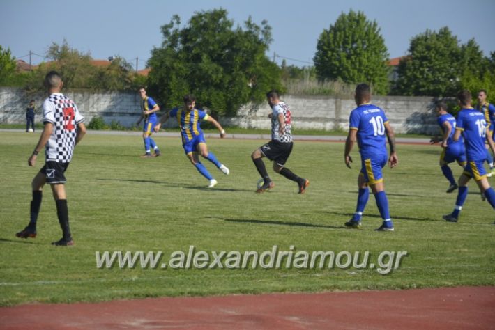 alexandriamou_paokrodoxri8.5.19051