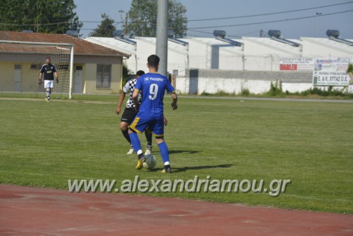 alexandriamou_paokrodoxri8.5.19079