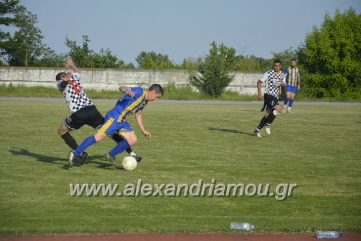 alexandriamou_paokrodoxri8.5.19208