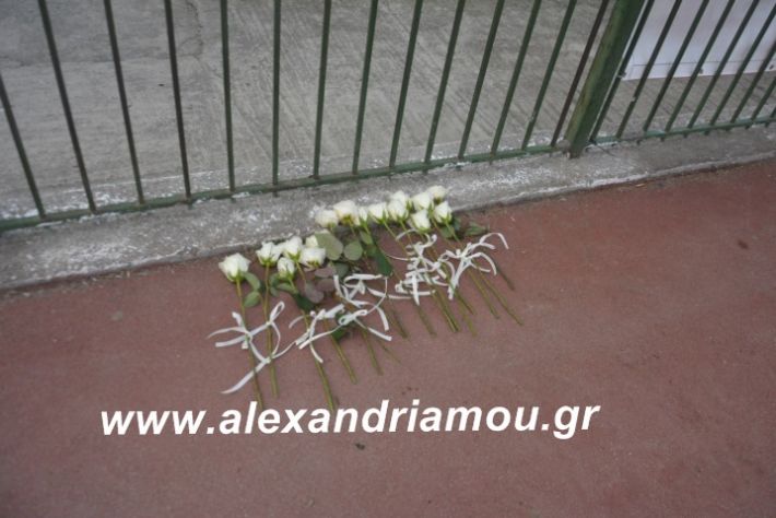 alexandriamou.paokxariesa27.2.19048