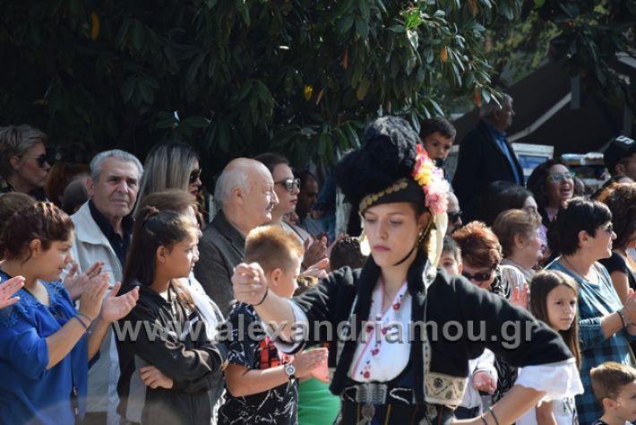 alexandriamou.gr_parelasiapel20148301