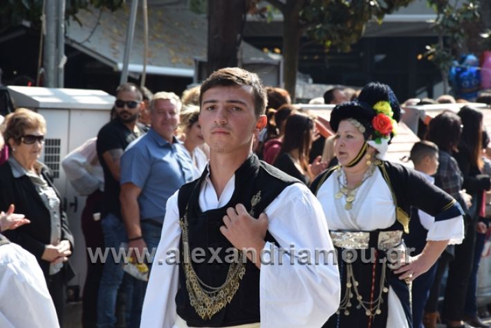 alexandriamou.gr_parelasiapel20148405