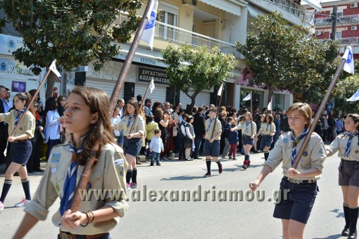 alexandriamou_parelasi25sulogi169