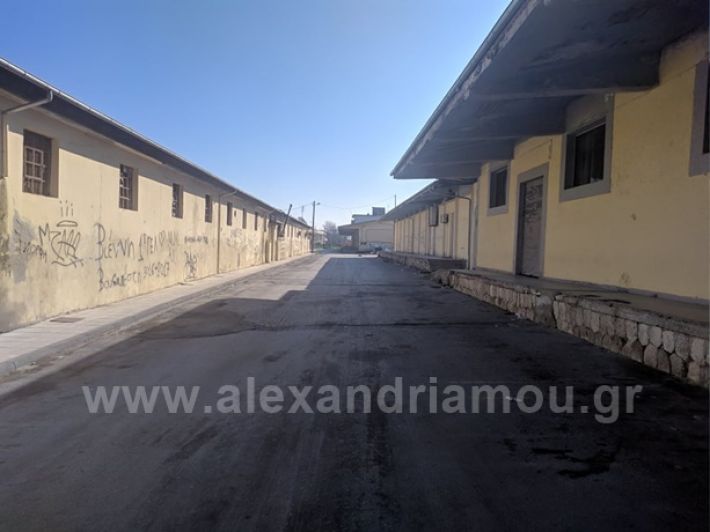 alexandriamou.gr_pazari20190454492_877103486050703_544800452420567040_n