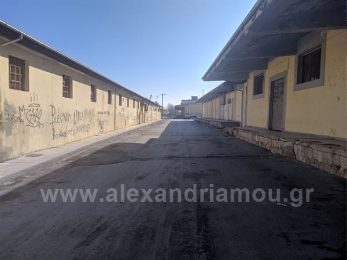 alexandriamou.gr_pazari20190905746_241440440354667_193559319738843136_n