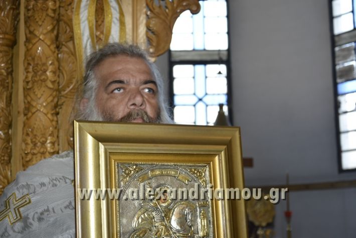 alexandriamou_perifora_kampoxori011