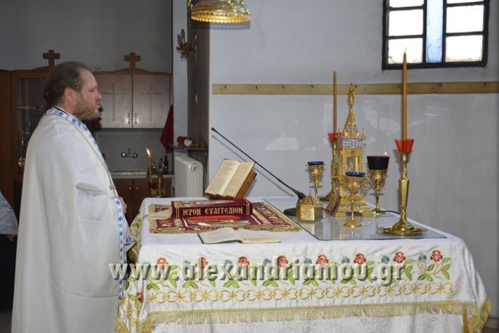 alexandriamou_perifora_kampoxori043