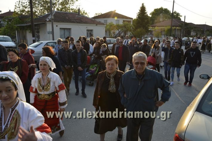 alexandriamou_perifora_kampoxori059