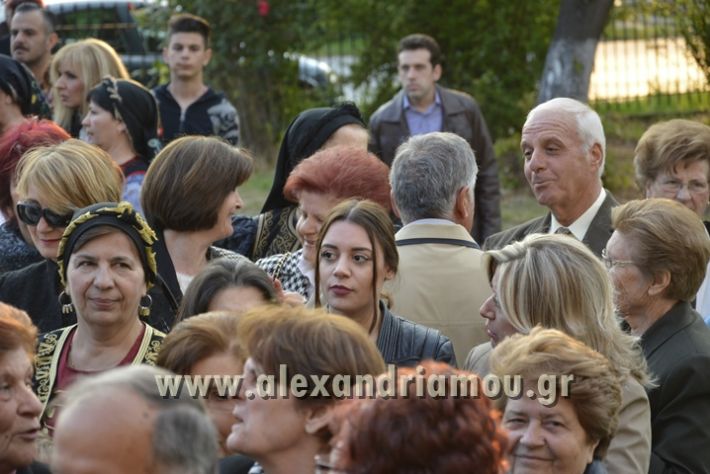 alexandriamou_perifora_kampoxori096