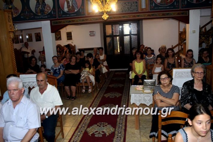 alexandriamou.gr_periforakipselis2019IMG_9886